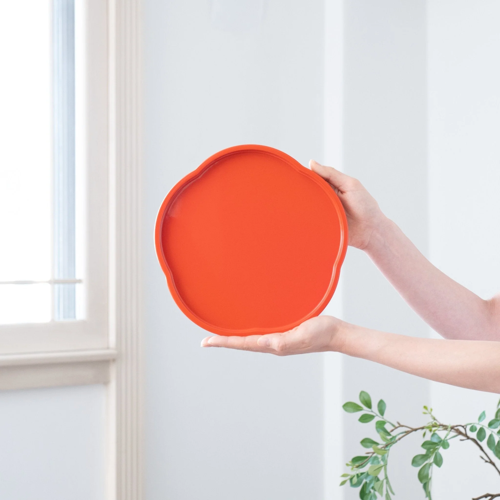 Thumbnail 22
